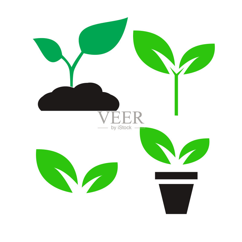 绿色植物和树叶彩色图标集图标素材