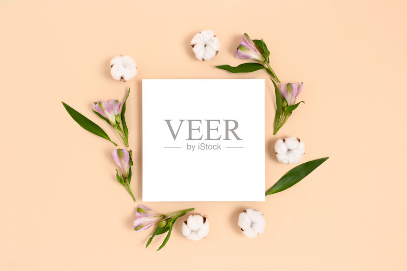 方形纸卡模型与框架制成的绿叶,棉花,紫花苜蓿花在米黄色的背景。正版图片素材