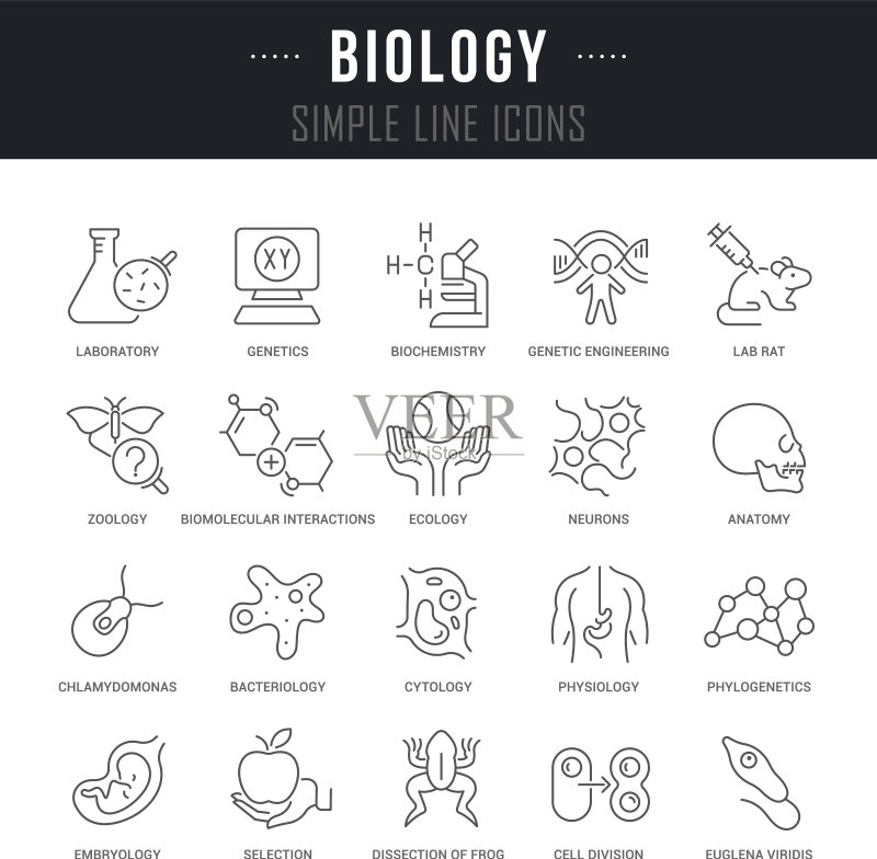生物学图标图标素材