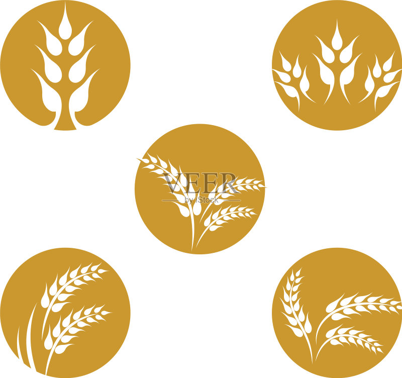 小麦Logo图标图标素材