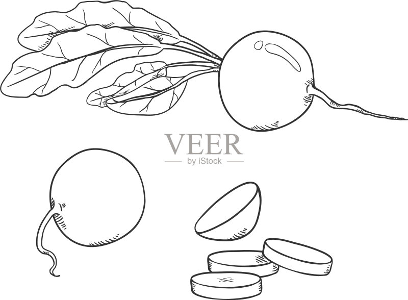铅笔素描小萝卜套装图标素材