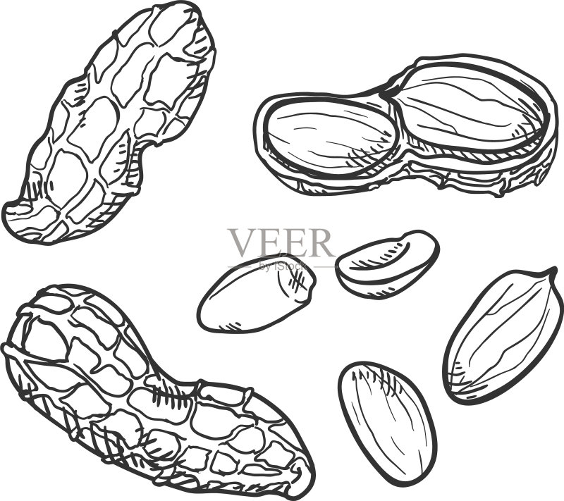 花生素描合集图标素材