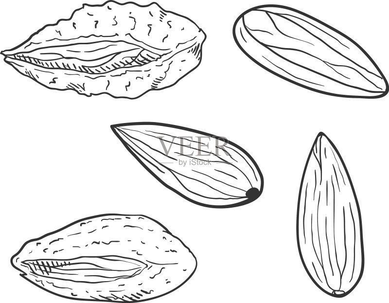 杏仁素描合集图标素材