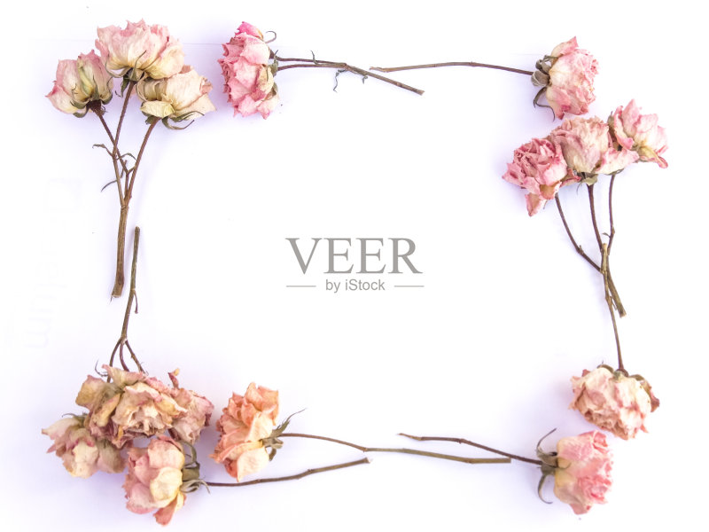 干玫瑰框架正版图片素材