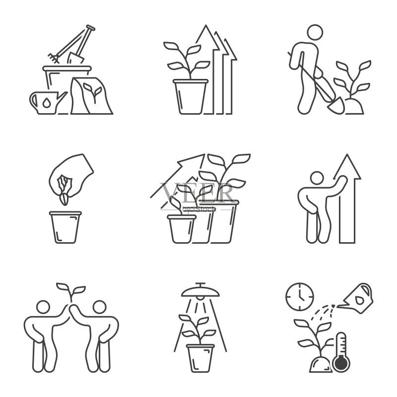 植物生长、种植、发育和护理图标集。包含求爱和生长过程。简单的线性图像。白色背景上的孤立矢量。图标素材