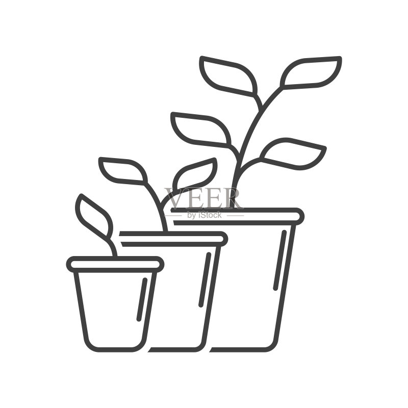 植物生长发育图标:生长阶段和换盆的简单线性展示。白色背景上的独立矢量图。图标素材