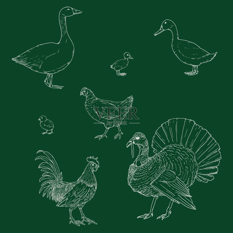 粉笔素描老鼠合集图标素材