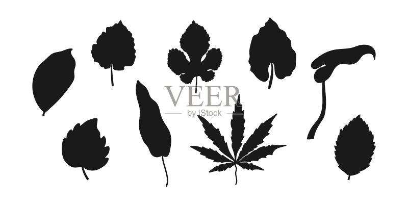 白色模版上的涂鸦树叶图标图标素材