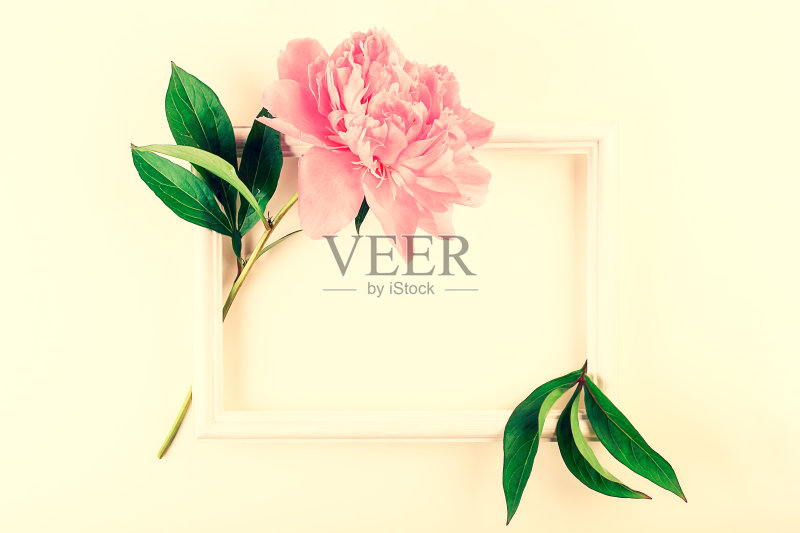 桌上有一朵粉红色的牡丹花和一个相框。平坦的躺,特写。正版图片素材