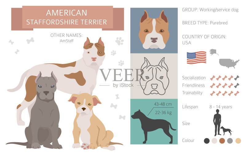 美国斯塔福郡梗犬彩色图案图标素材