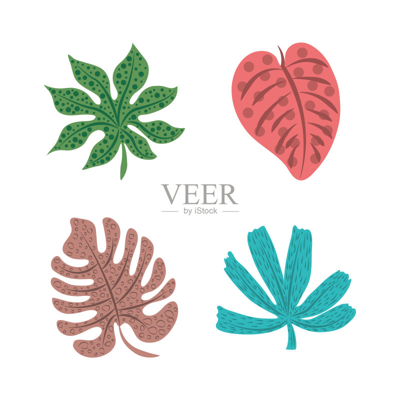 热带树叶自然植物异域风情图标合集图标素材
