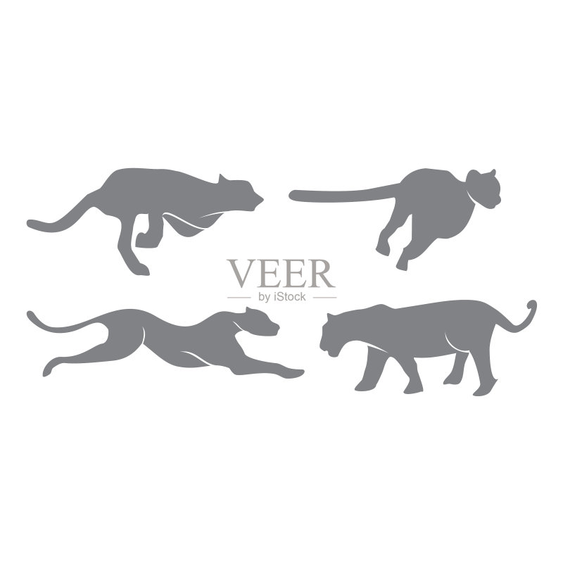 猎豹标志设计模板图标素材