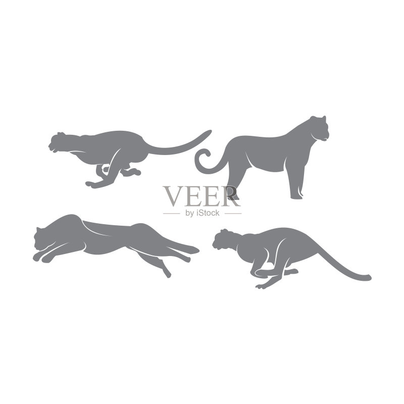 猎豹标志设计模板图标素材