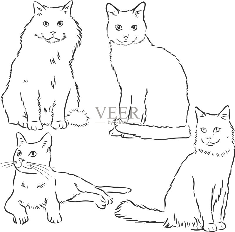 手绘可爱蓬松家猫套装图标素材