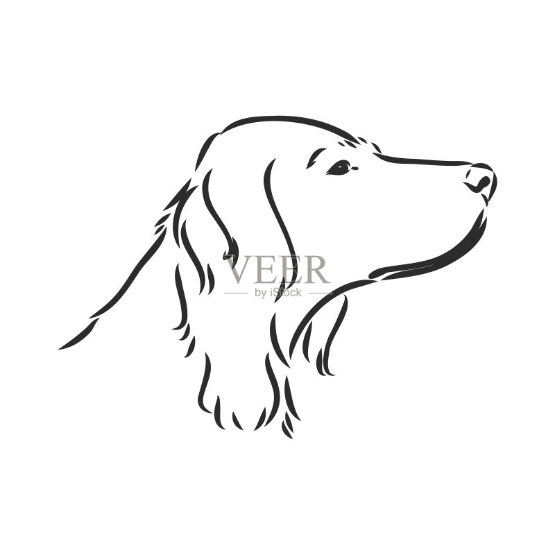 手绘英国雪达犬图标素材
