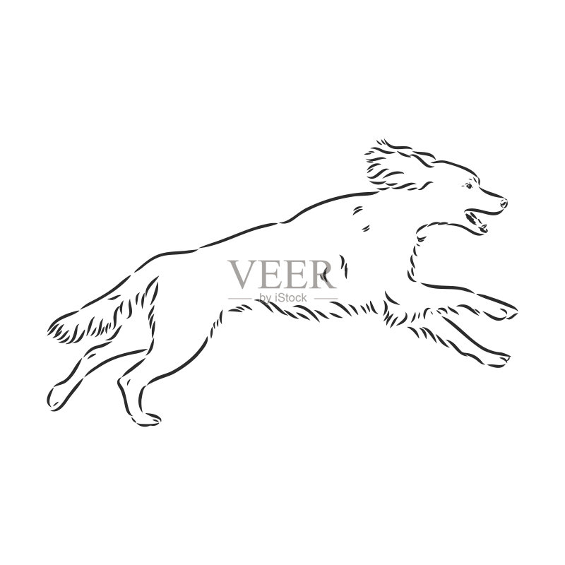 手绘英国雪达犬图标素材