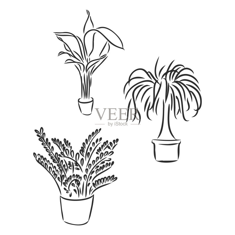 盆栽植物图标素材