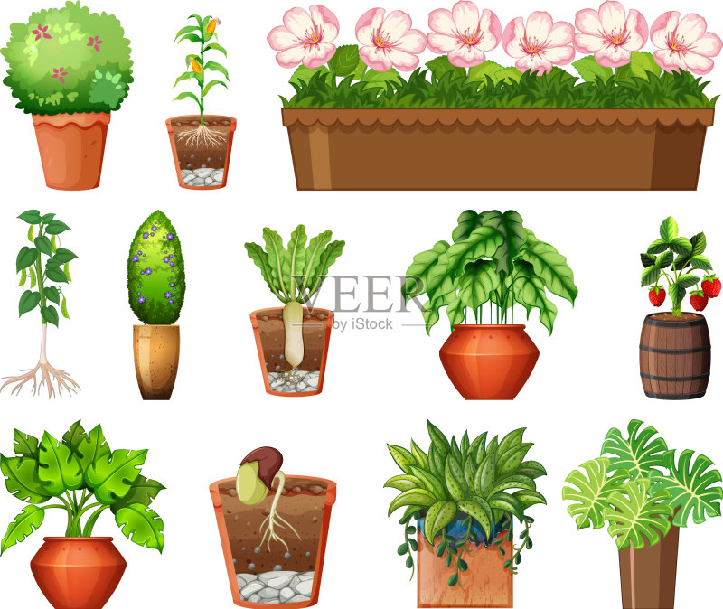 不同的盆栽植物合集(白色背景)图标素材
