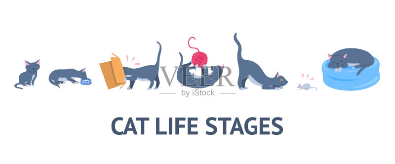 卡通彩色人物猫的生长阶段图标素材