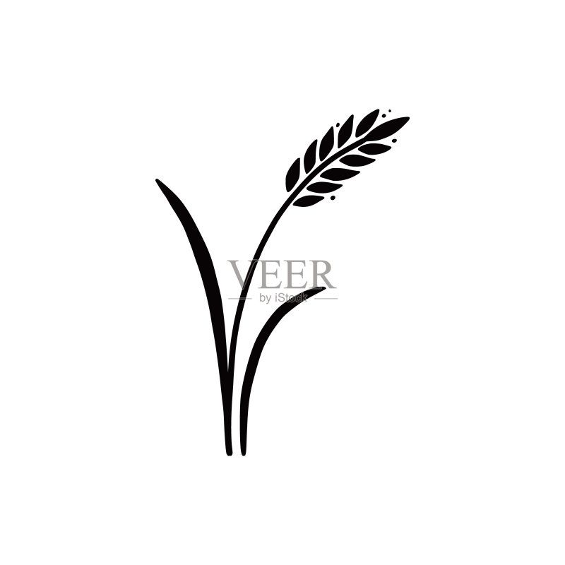 小麦、大麦、大米图标(手绘)图标素材