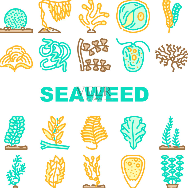 海藻海底植物图标合集图标素材