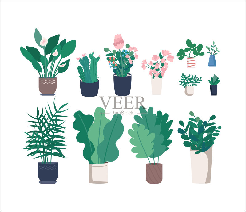 不同的室内盆栽植物扁平设计图标素材