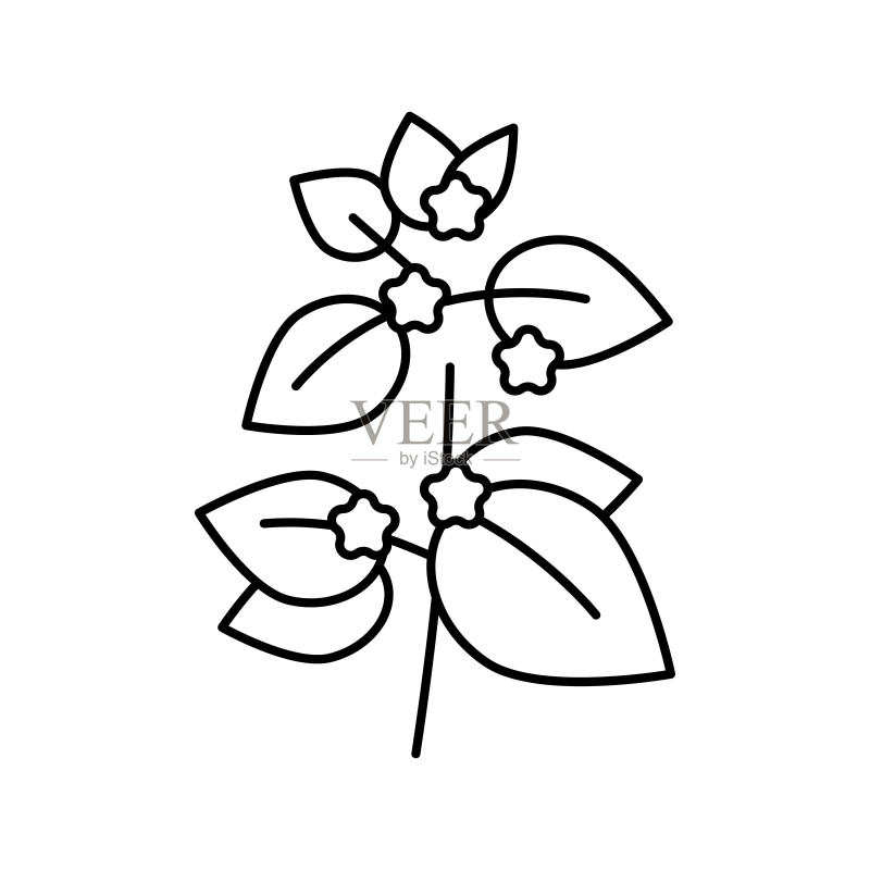 蜜蜂花草本香薰线性图标矢量图图标素材