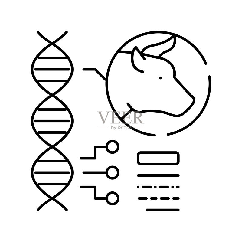 动物基因谱系图标矢量扁平插画图标素材
