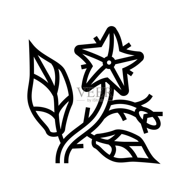番茄花线条图标矢量图图标素材