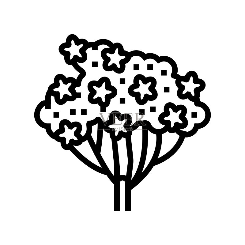 蓍草植物线性图标矢量插图图标素材