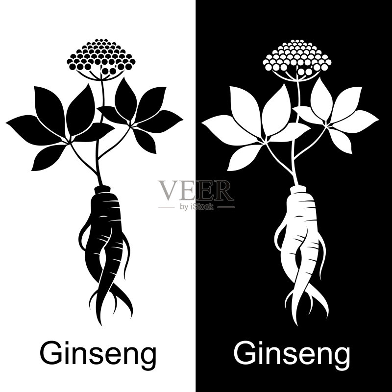 人参根合集图标素材