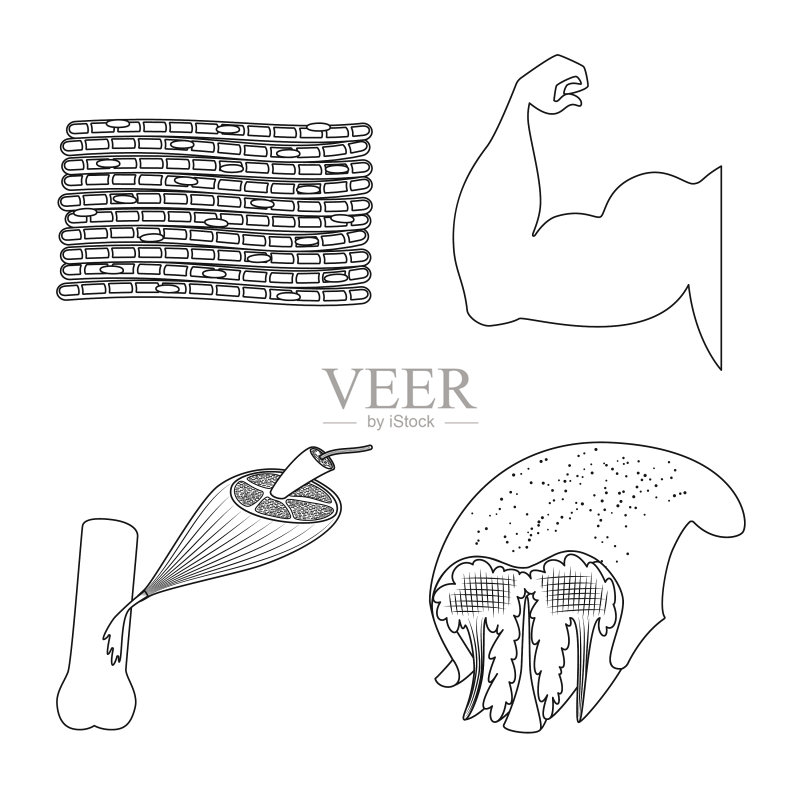 纤维肌肉logo设计图标素材