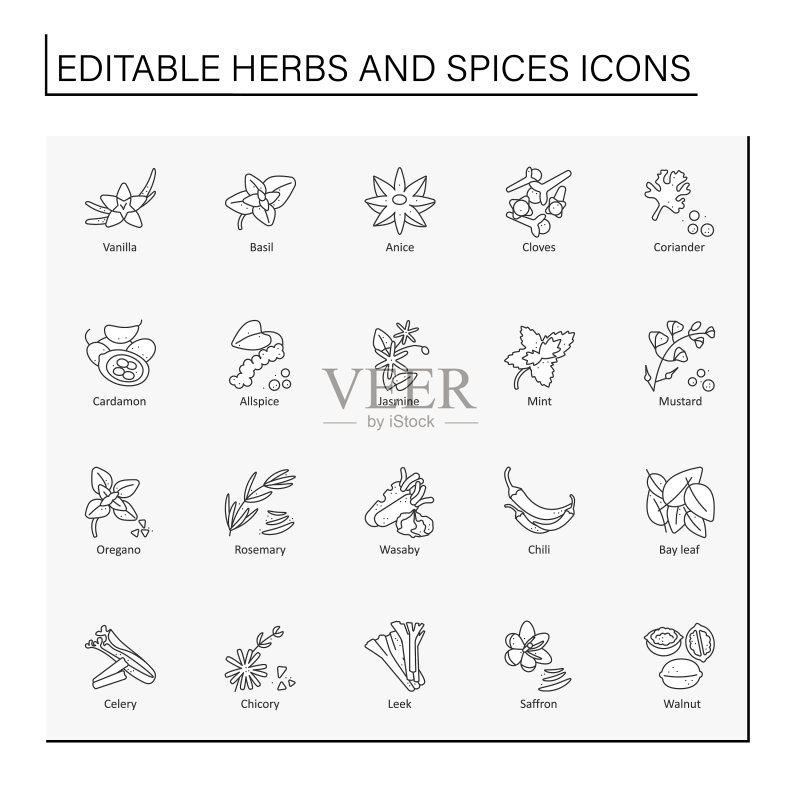 香草和香料线条图标集图标素材