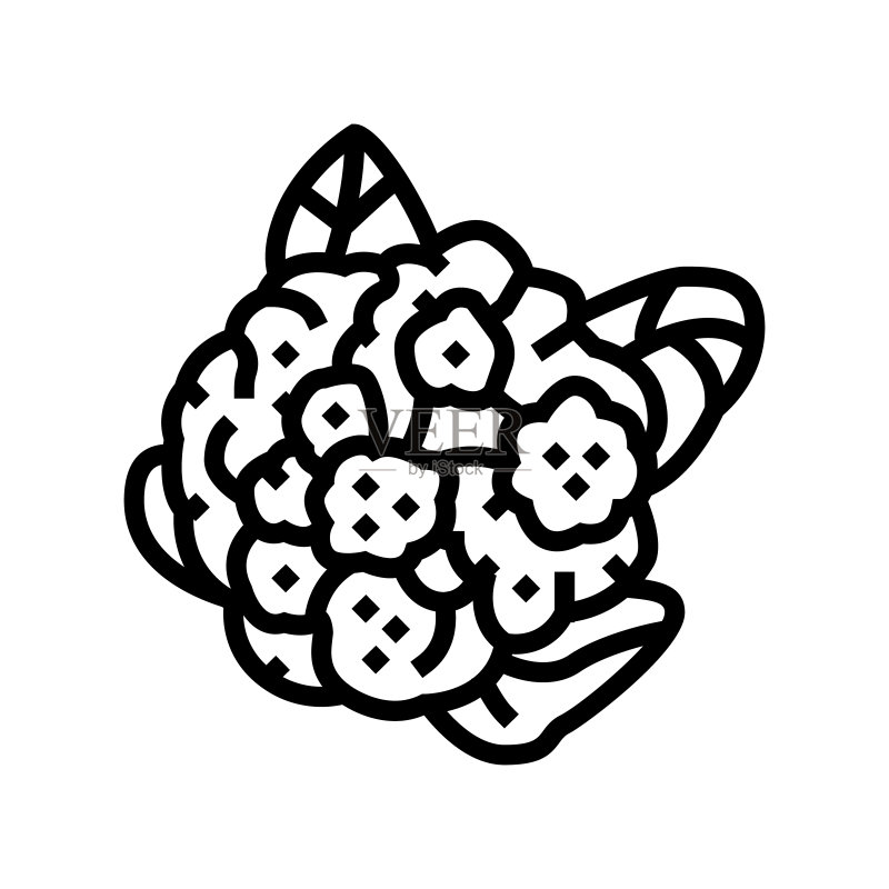 花椰菜线条图标矢量图图标素材