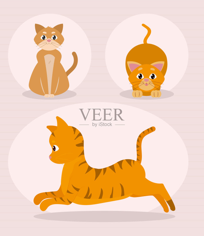 可爱猫咪图标合集图标素材