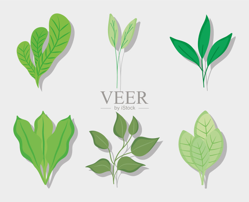 绿色植物图标集图标素材