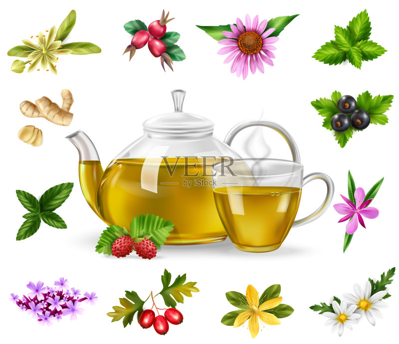 草药茶具图标素材