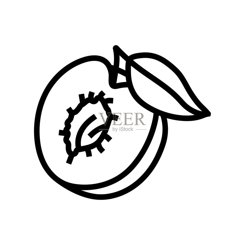 李子种子切叶线条图标矢量图图标素材