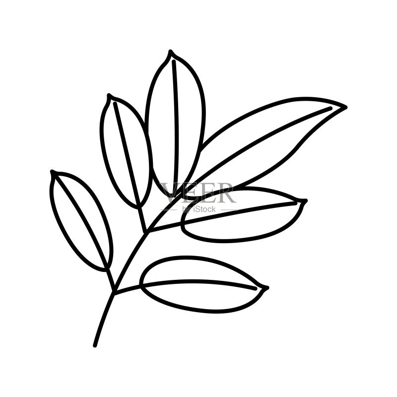 桃花心木叶子线条图标矢量图图标素材