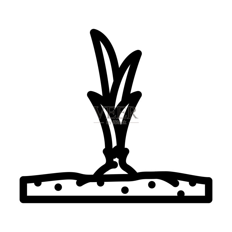 洋葱线条图标矢量插画图标素材