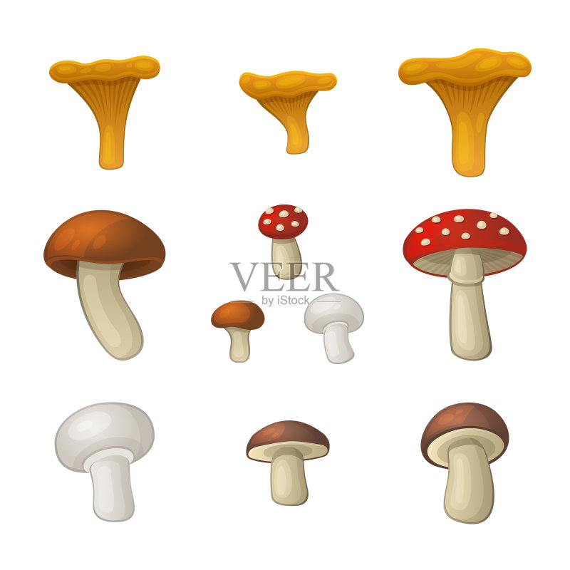 白色背景上的蘑菇图标集图标素材