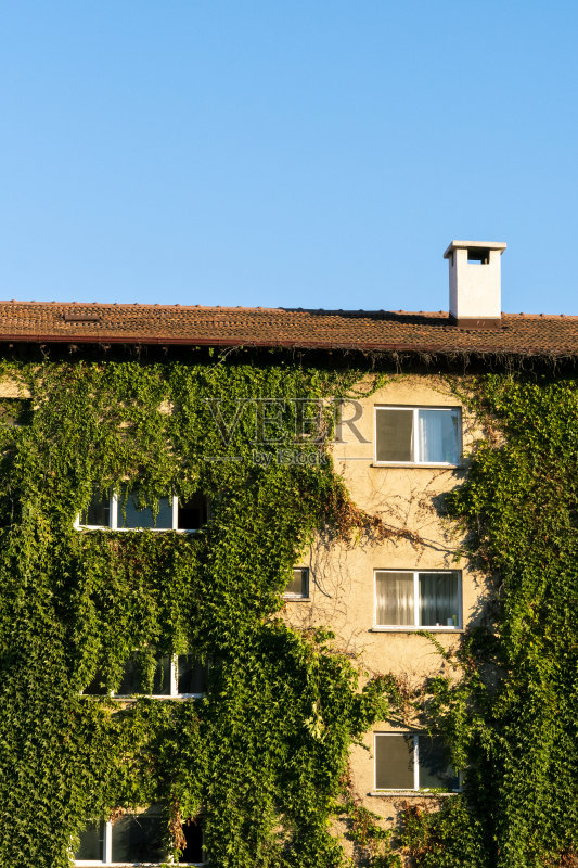 绿色和自然友好型建筑,完全被常春藤植物覆盖照片摄影图片