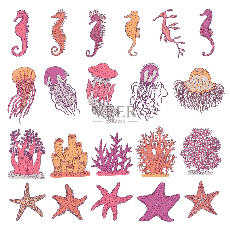 海马、水母、海星和珊瑚海洋动物矢量图插画图片素材
