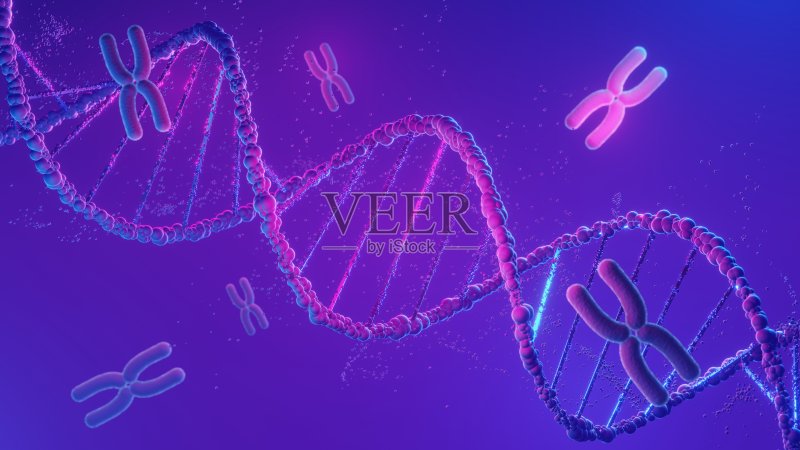 DNA螺旋结构。DNA螺旋互补链序列遗传密码或基因组。基因表达。核苷酸数据库。转录和翻译的中心法则过程。3D渲染。照片摄影图片