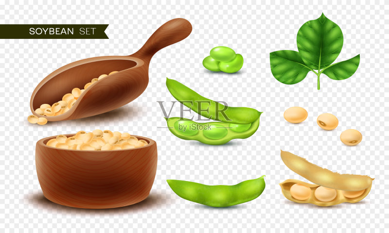 逼真大豆模型素材图标素材