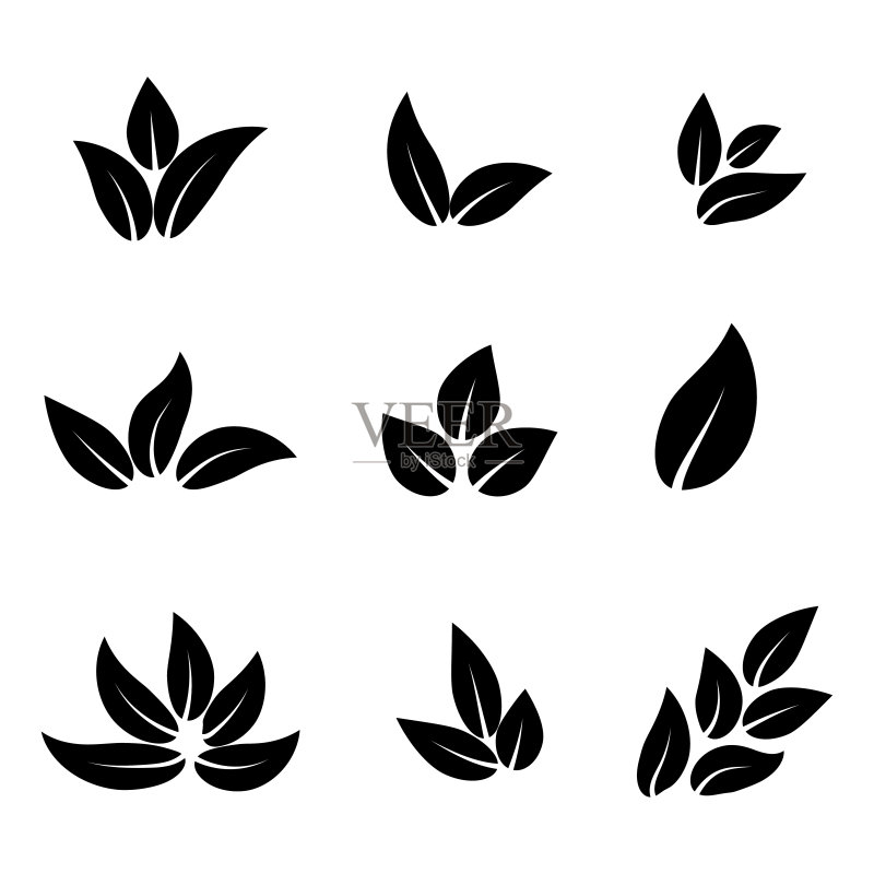 孤立的树叶合集:不同形状的树叶图标矢量素材图标素材