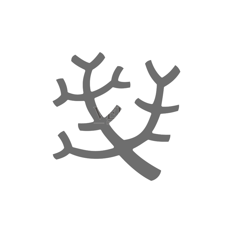 白色背景上的灰色海珊瑚海藻图标图标素材