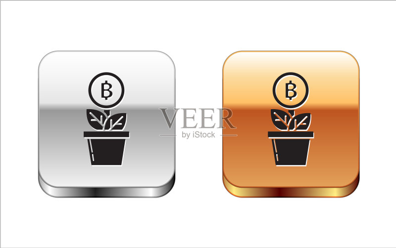 盆栽中的黑色比特币植物图标图标素材