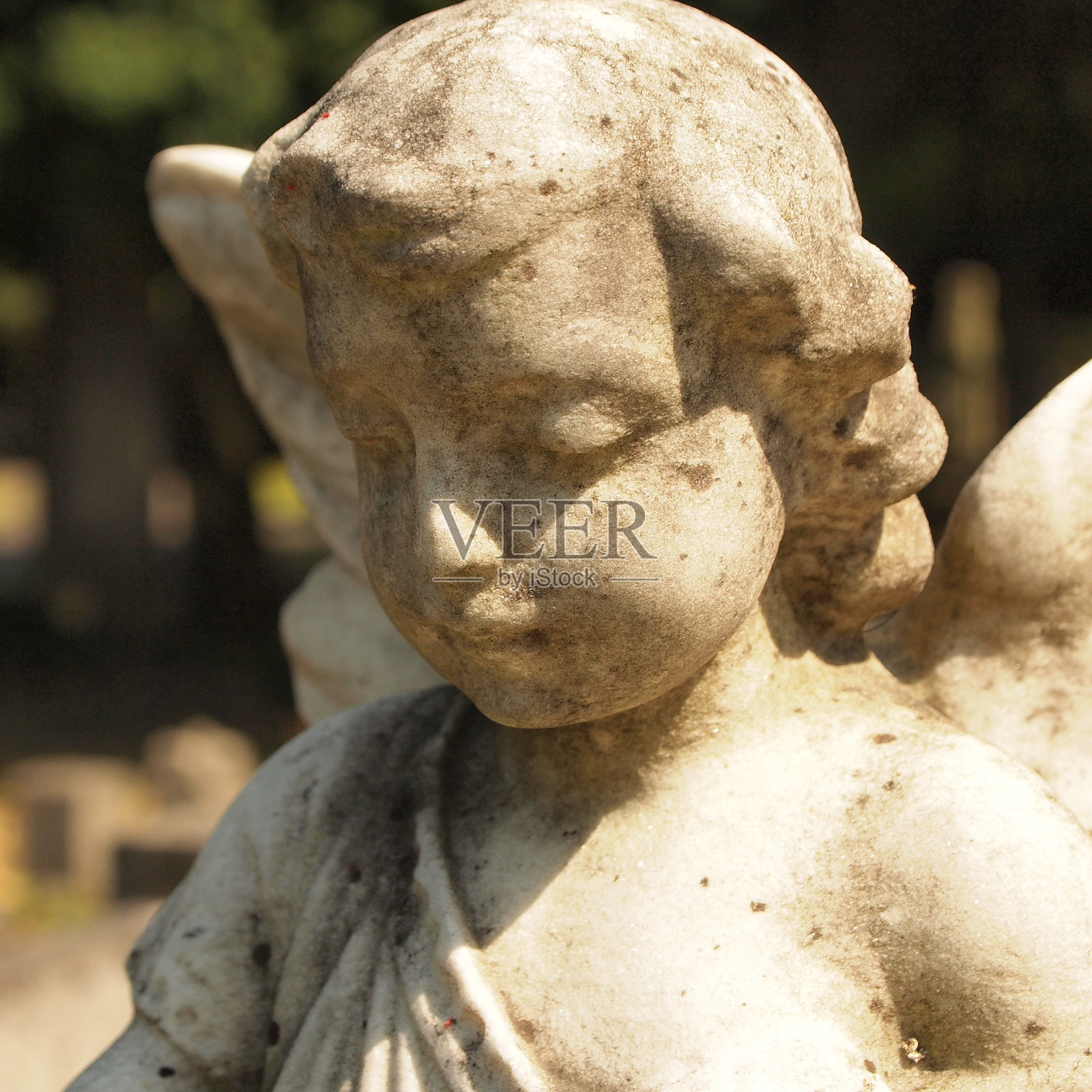 石小天使的脸照片摄影图片