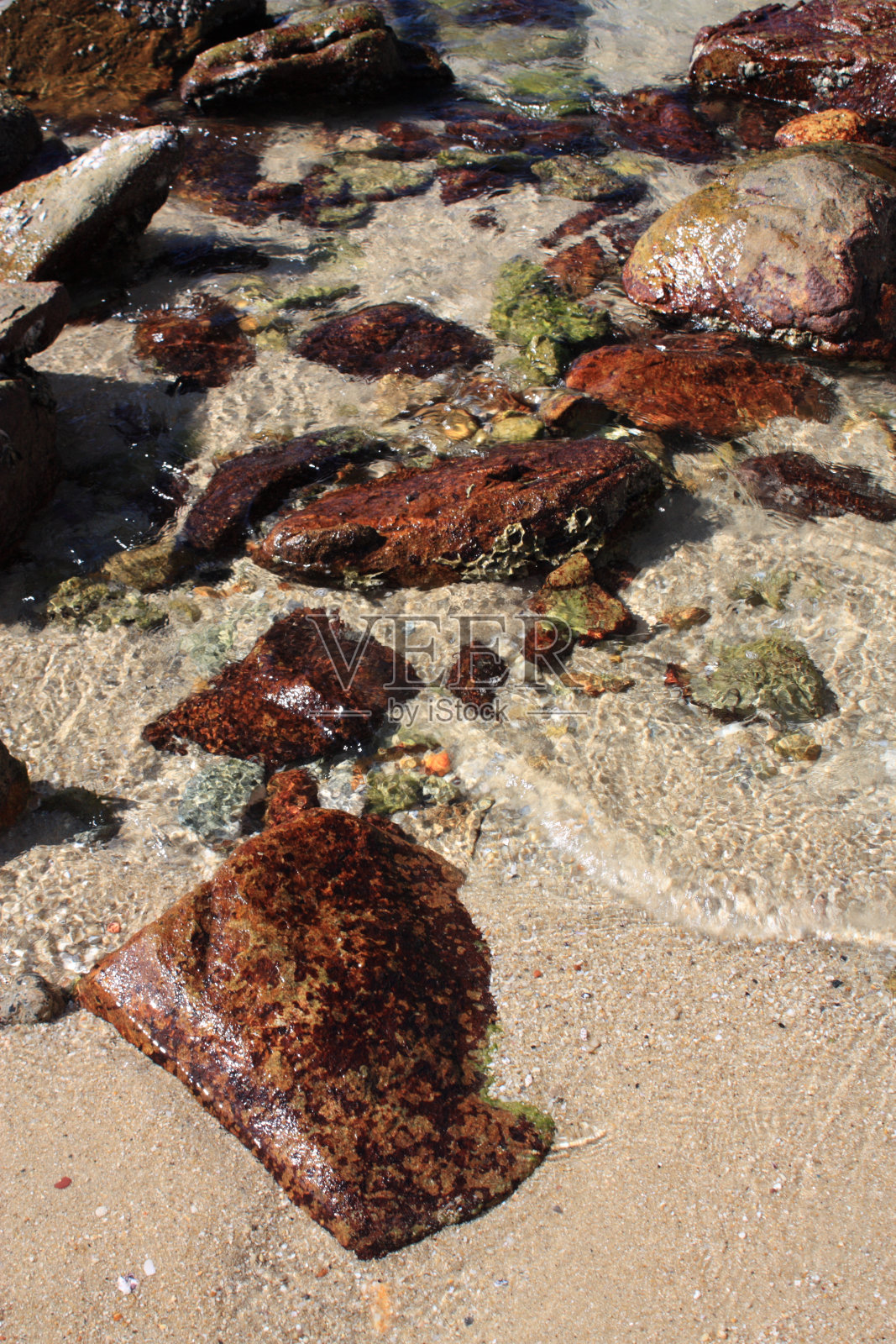 热带景观照片摄影图片